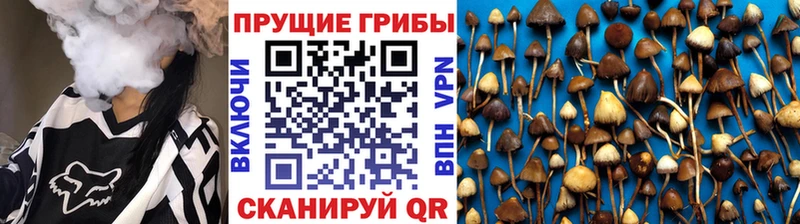 где продают   Певек  Галлюциногенные грибы мухоморы 